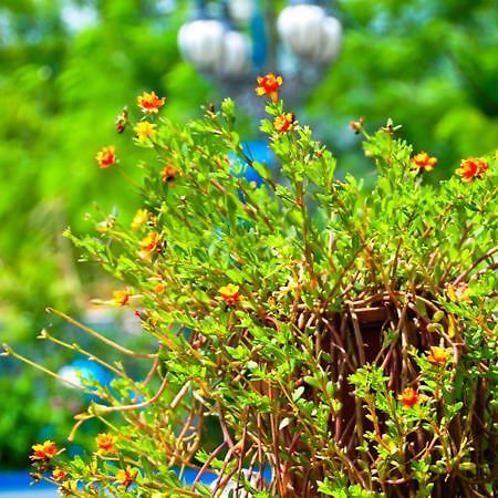 Haian Xian Homestay Huxi Esterno foto