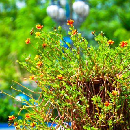 Haian Xian Homestay Huxi Esterno foto
